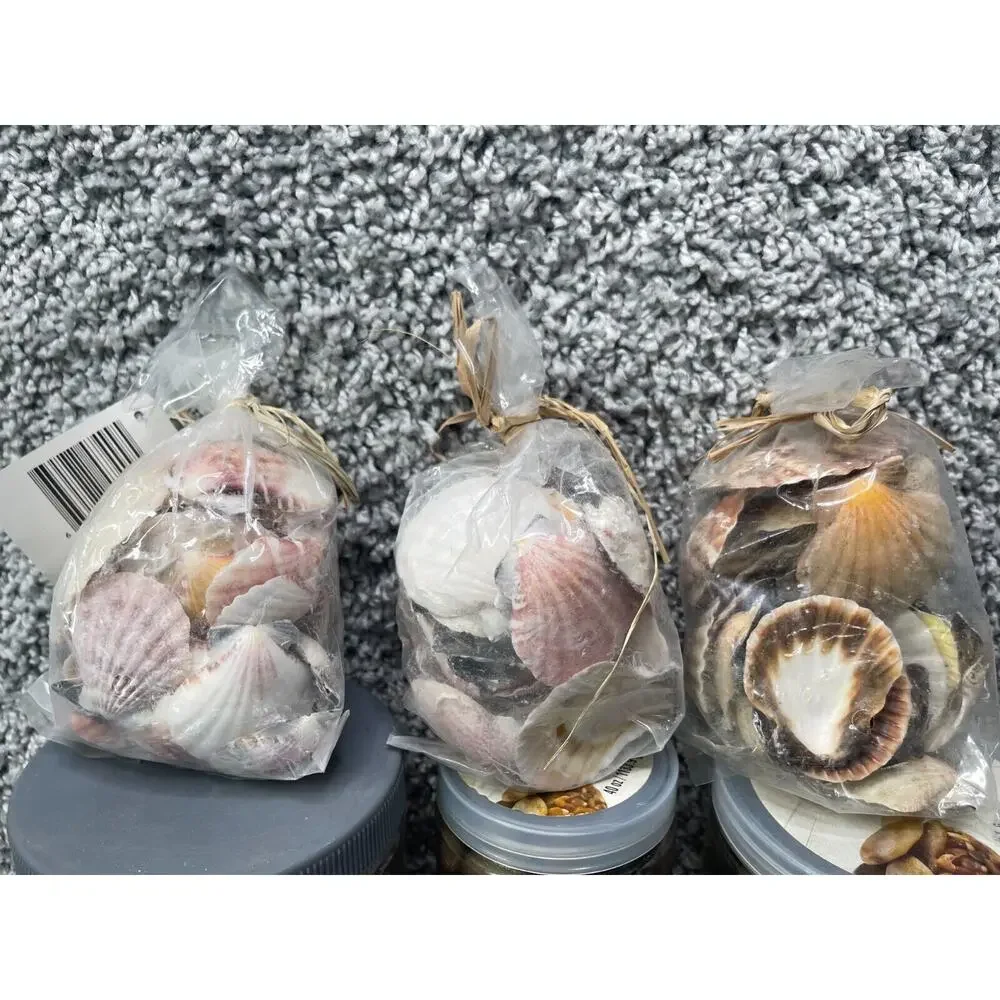 Decorative Crafts Shells Stones & Ukarms 6mm Airsoft Lot Of 12